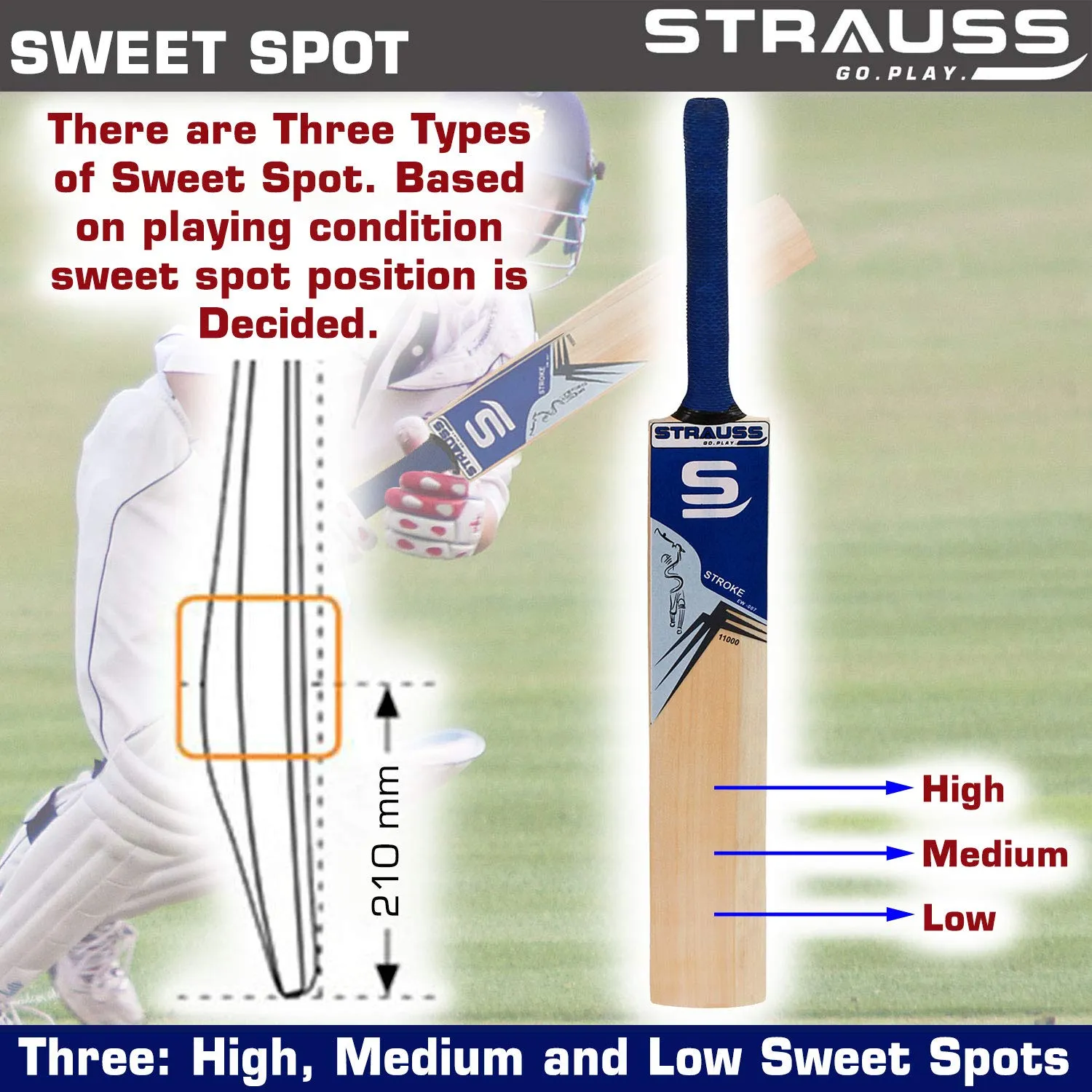 Strauss Cricket Bat | Edition: 11000 | English Willow | Size: Short Handle | Premium Leather Ball Cricket Bat